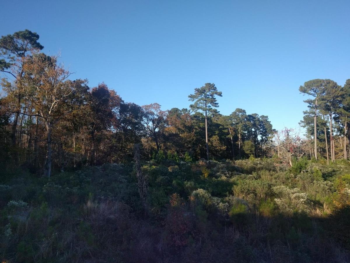 Apartment Central-Secluded By Nature-Pools-15 Min To Beach Myrtle Beach